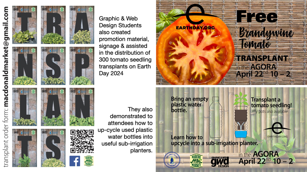 Earth Day event seedling